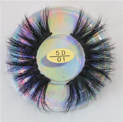 5D-01