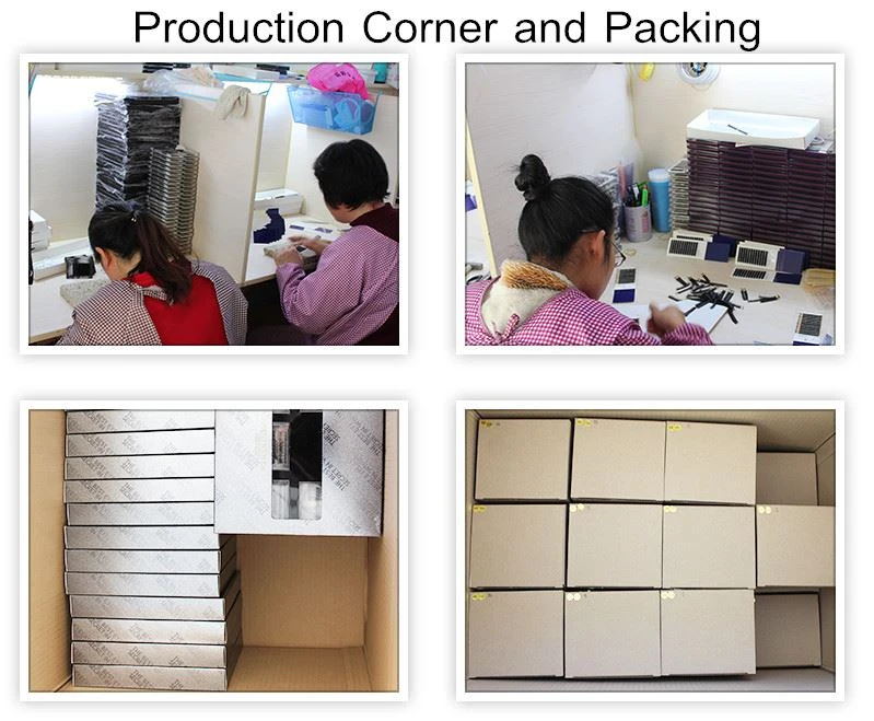 False Eyelash Box Packaging 